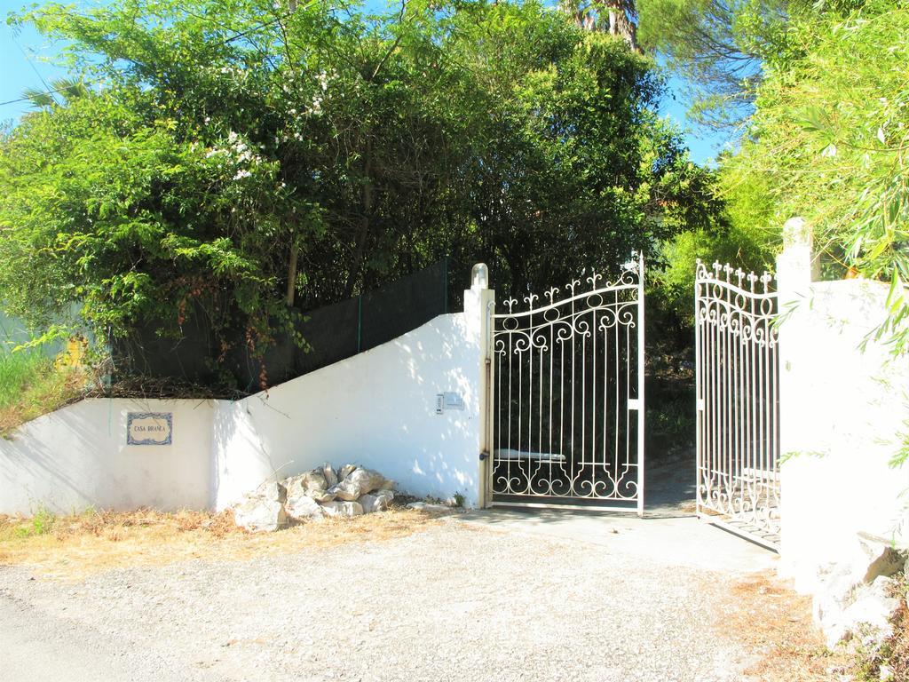 فوز دو أريلهو Casa Branca Guest House المظهر الخارجي الصورة