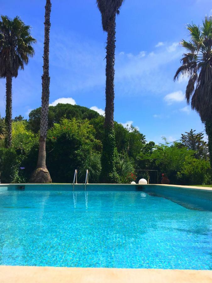فوز دو أريلهو Casa Branca Guest House المظهر الخارجي الصورة