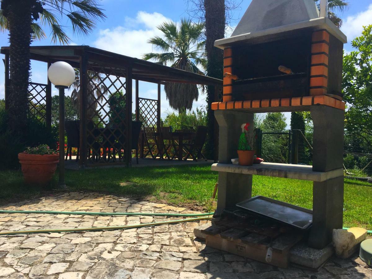 فوز دو أريلهو Casa Branca Guest House المظهر الخارجي الصورة