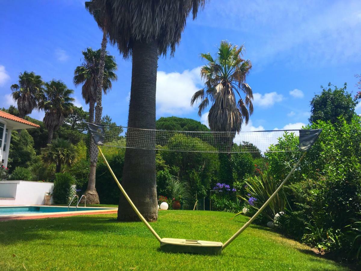 فوز دو أريلهو Casa Branca Guest House المظهر الخارجي الصورة